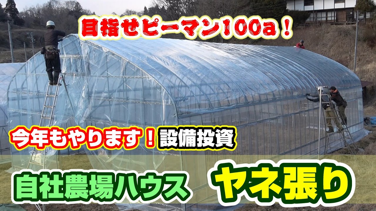 inTKT農場 目指せ100a！ピーマン設備投資を進めています！