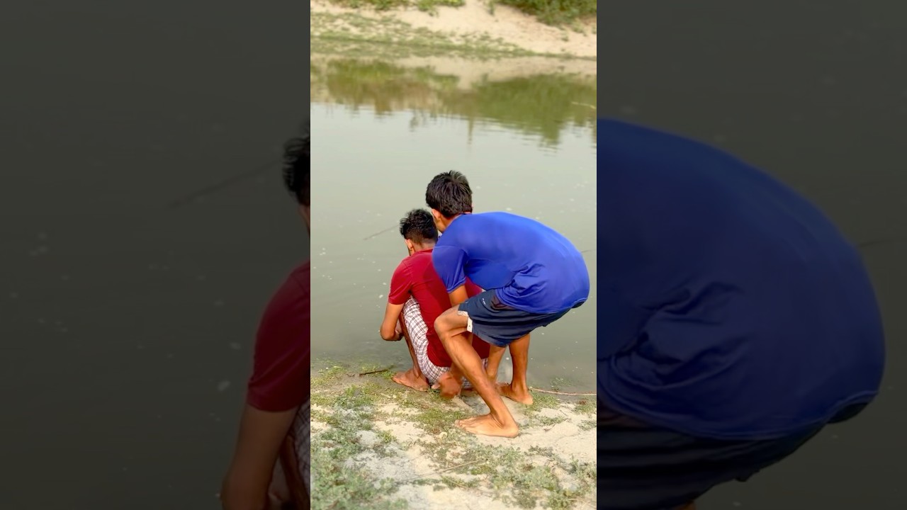 Excellent funny reels  