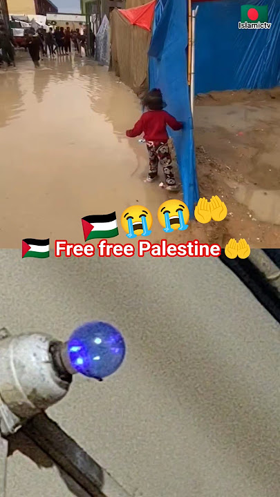 free free Palestine 🇵🇸 ya Allah help me Palestine 😭#palestina#palestine#islamictv6764#shorts_video