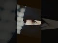 العين يا نور العين رب ما عجزت روحي أن تلقاك وعيني أن تراك لكن لن يعجز قلبي أن يحب ك ويهواك 