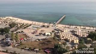 Sultan Dancer Boomerang Version