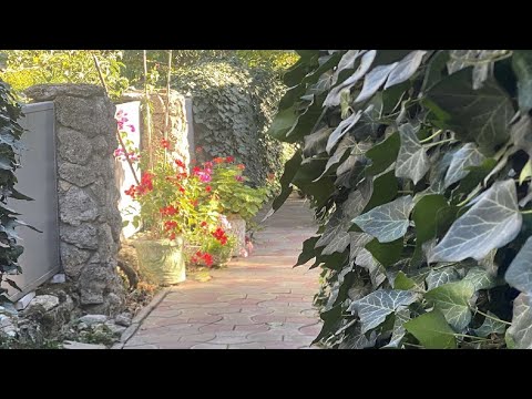 ПЛЮЩ В ДИЗАЙНЕ ДОМА