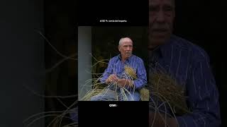 ¿Sabes qué es un mosquero? | Yo Me Quedo Aquí