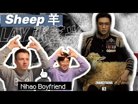 LAY张艺兴레이 SHEEP 羊 MV Reaction