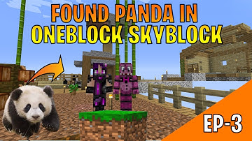 WE FOUND PANDA IN ONEBLOCK SKYBLOCK SAMSUNG,A3,A5,A6,A7,J2,J5,J7,S5,S6,S7,59,A10,A20,A30,A50,A70