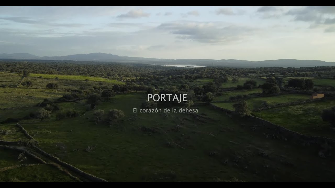 Portaje. El corazón de la dehesa.