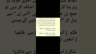 Do zabar aur teen zabar (wahid/singular) se jama(plural ) banane ka tarika | Plug and Play