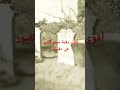 أقوى رقية سحر القبور في دقيقة الراقي المغربي أبو علي 