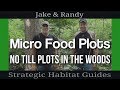 Easy Way to Prep Small In-the-Woods Food Plots for Deer