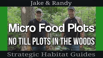 Easy Way to Prep Small In-the-Woods Food Plots for Deer