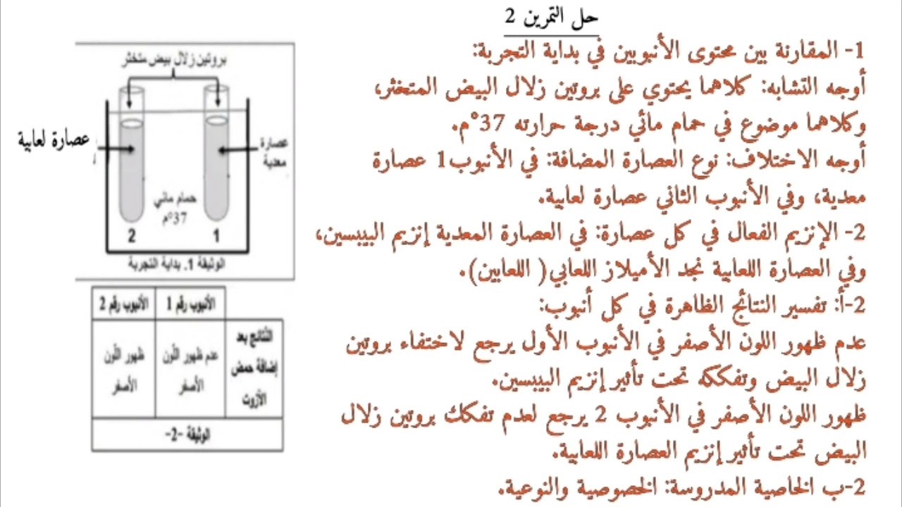 الفرض الأول في العلوم الطبيعية رابعة متوسط