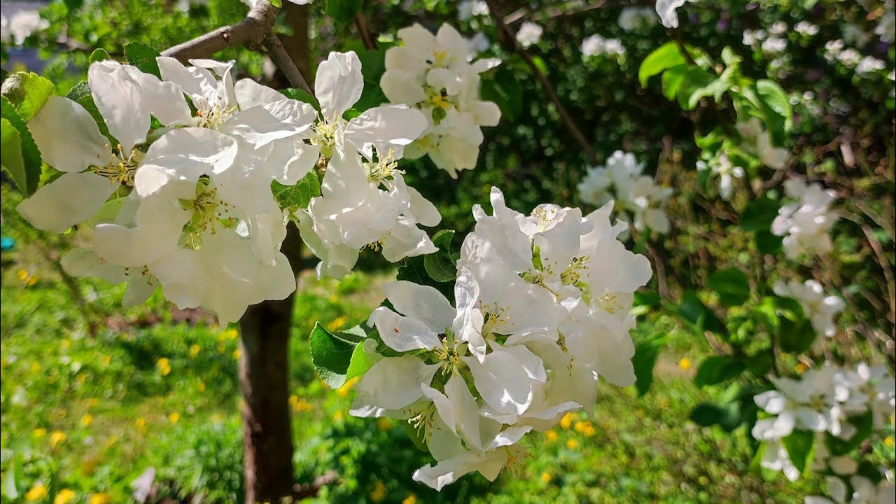 Ваш скрытый талант 🔥