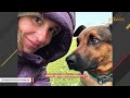Lonely street dog gets a second chance at life