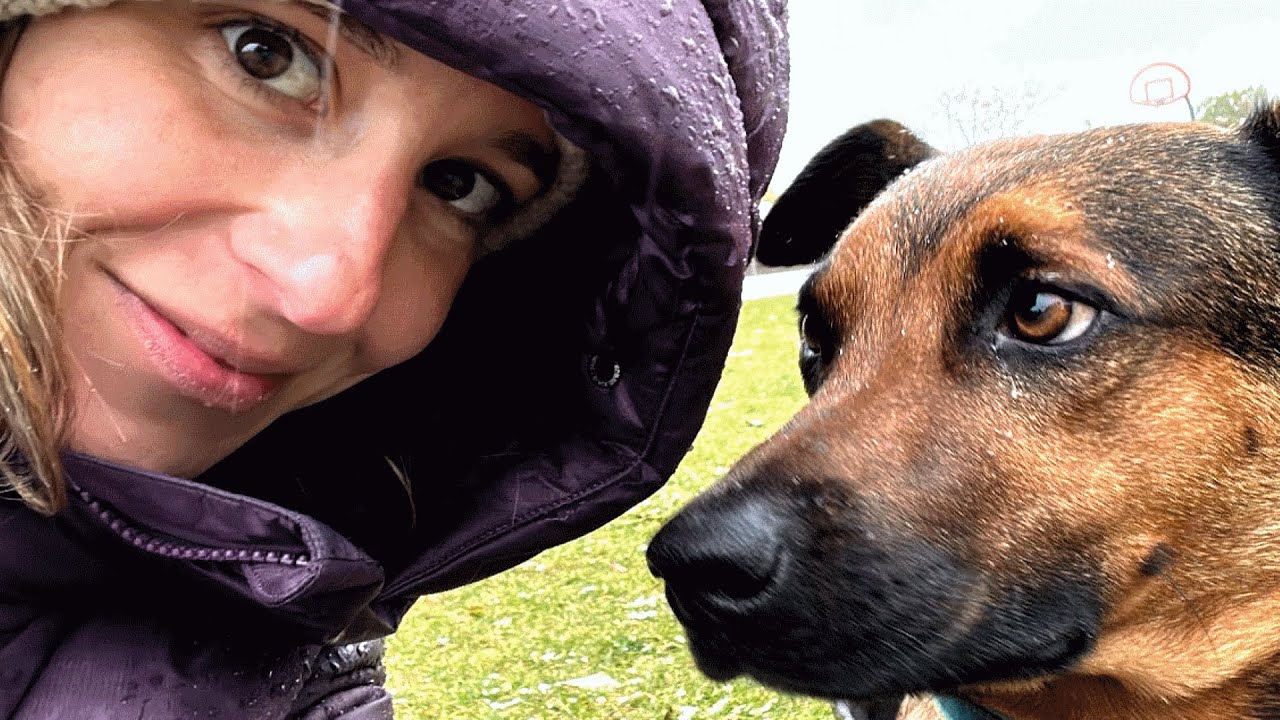 Lonely street dog gets a second chance at life - YouTube