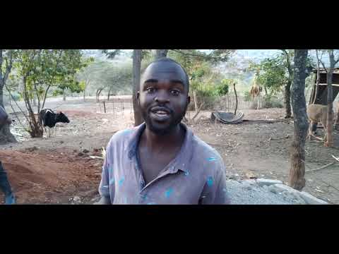 new biogas construction