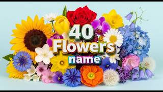 40 Flowers Song for Kids | Learn Flower Names & Colors | HabitotoKids #nurseryrhymes  #kidstv screenshot 3