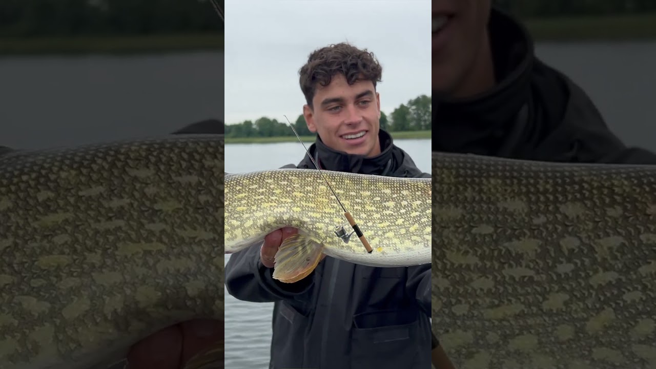 die teuerste Angel Deutschlands... 😱