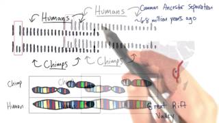 Origin of Species - Tales from the Genome