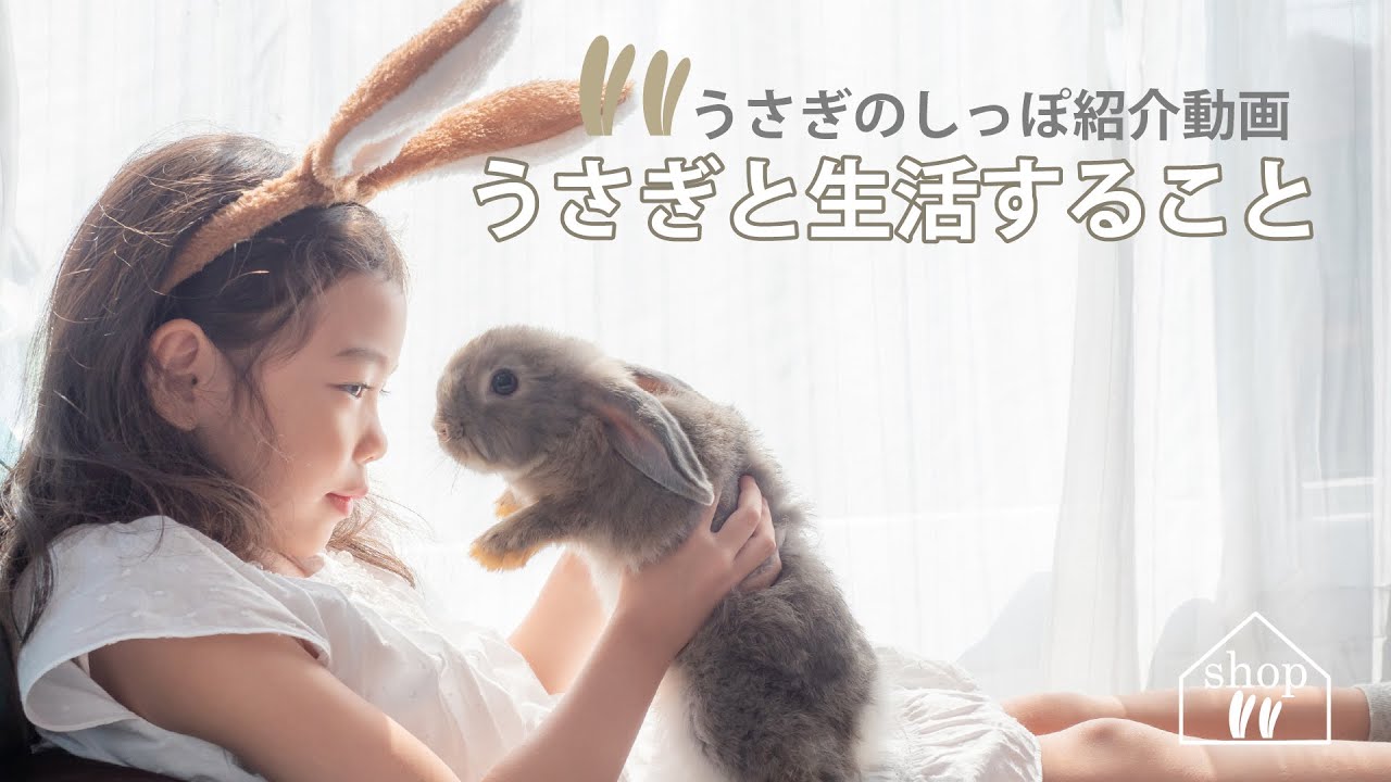 うさぎのしっぽ紹介動画 - YouTube