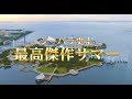 「シーパラ史上、最高傑作サマー」横浜・八景島シーパラダイス