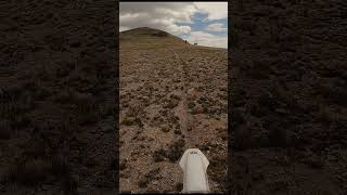 Taylor Park Single Track is Nuts #enduro #dirtbike #ktm #endurolife