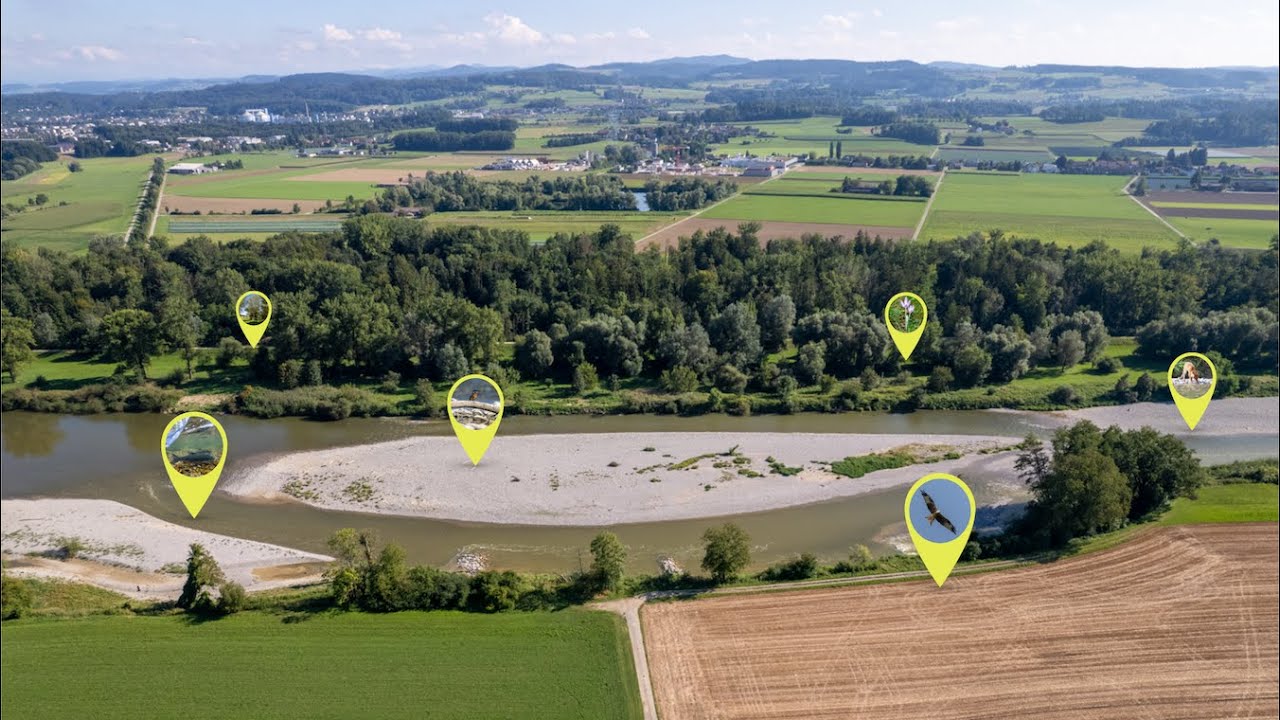 Lebendige Thur Citizen-Science-Projekt | Artenvielfalt an der Thur entdecken