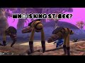 Who is King St. Bee? | #5: Legs