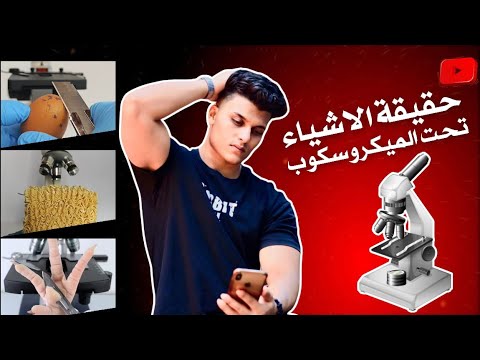 خمس تجارب هتغير فكرتك عن الحياة تماما اليومية ومش هتصدق أنها حقيقية تحت المجهر