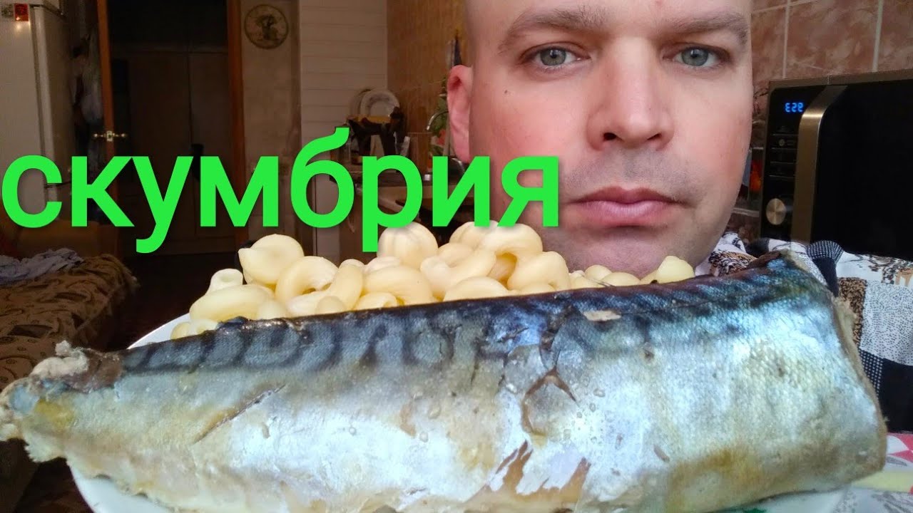 МУКБАНГ СКУМБРИЯ отварная/ОБЖОР