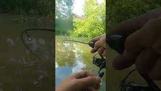 wędka do 3,5 grama i okoń 27 centymetrów 😅 #fishing #xul