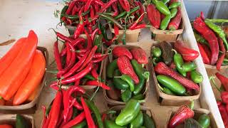 Dickey Farms Musella, GA