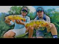 Peacock Bass Fishing In Fort Lauderdale Florida!! Crazy Looking Fish… - Vlogmas 11 Part 2