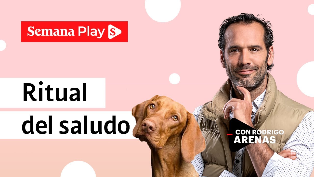 ¿Cómo saludar a un perro para que no sea efusivo? | Rodrigo Arenas