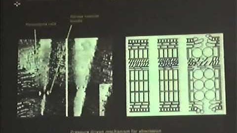 Emergence: Morphogenetic Design Strategies - Part 2