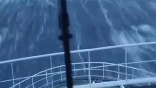 Biggest Wave In The Sea