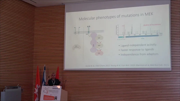 Plasticity and Constancy: Stas Shvartsman