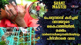 പെരുമ്പാമ്പിന്റെ കടിയേറ്റ്, രക്തം വാർന്നൊലിച്ചിട്ടും പിടിവിടാതെ വാവ | Snakemaster EP 504