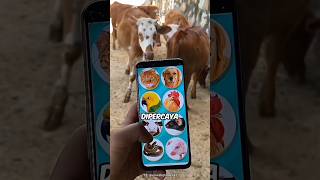 Penerjemah bahasa hewan yang viral screenshot 3