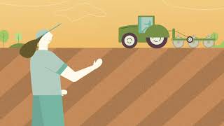 Soy Sustainability 101