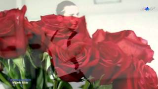 Chords for ♡ Tango de Roses - GIOVANNI MARRADI