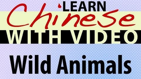 Learn Chinese with Video - Wild Animals