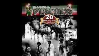 banda machos nadie te toco