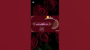 سورة مريم،  يحيى عليه السلام،  على قناة آية وعبرة من القرآن والسنة