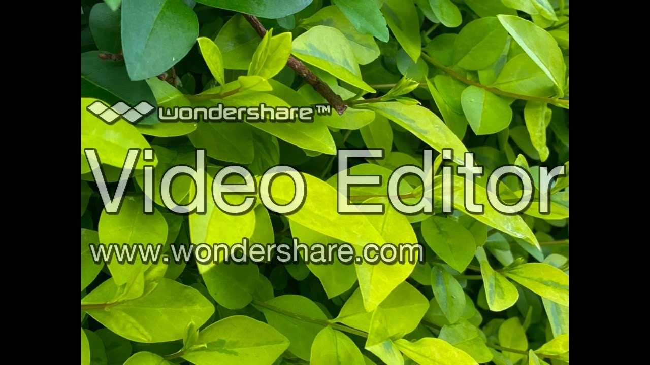 All Windows Avalon Sounds