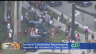 Commission Investigation Parkland High Shooting Recommends Teacher Carry Guns