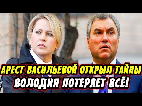 Допрыгался! Белоусов Не Оставил Шансов Володину! Арест Васильевой Открыл Тайны!