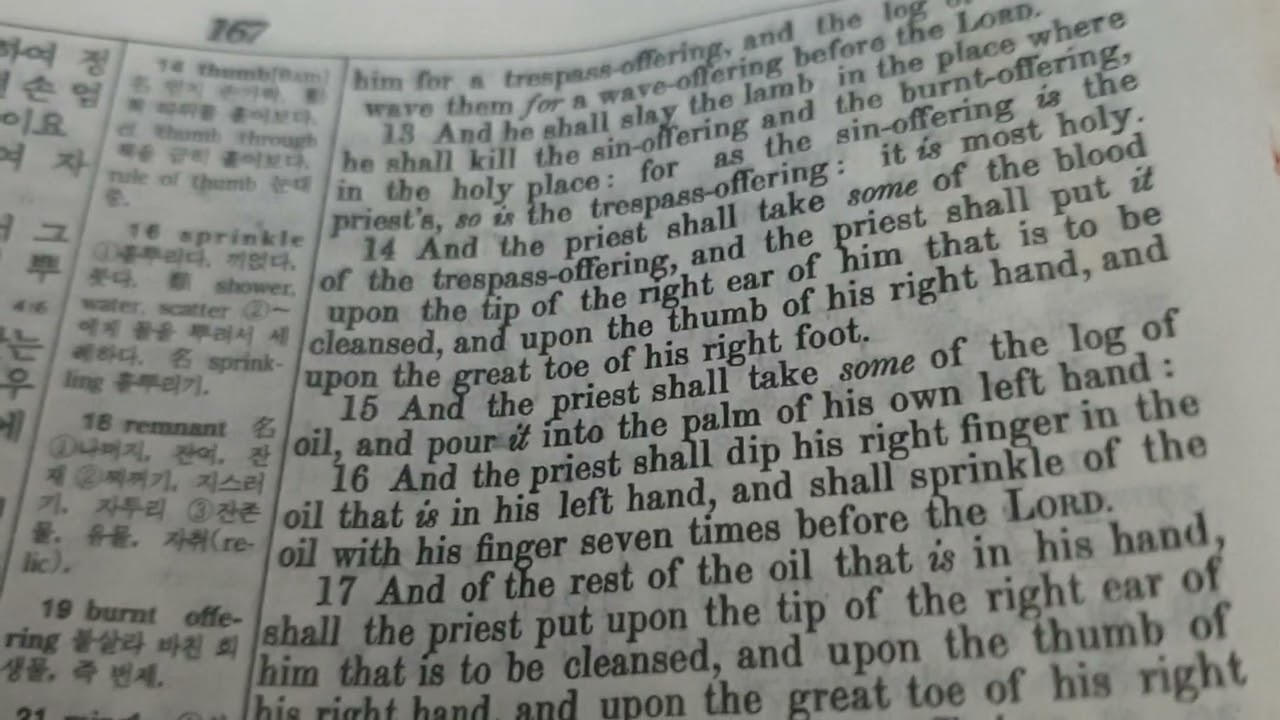 Cleaning leprosy 문둥병 정결례 Lev레14