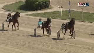 Vidéo de la course PMU PREMI HELENA UTIL