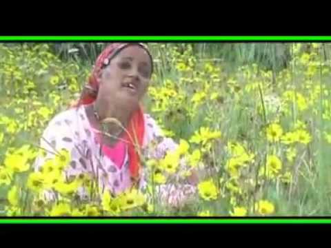 Taaffesech Ejersoo Ateetiyyoo Oromo Music 