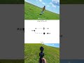 Osmo Pocket 4Pで撮る草原ポートレート｜シネマティックなカメラワークを紹介